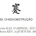 I Ching, o Livro das Mutações - Livro Primeiro, Hexagrama 39: Chien / Obstrução